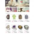 Shop thời trang WordPress theme